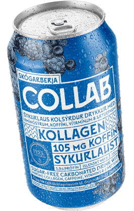 COLLAB BLUE / Forrest Berries 330 ml