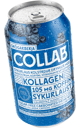 Collab Forest Berries Collagen Energy Drink Icelandic
